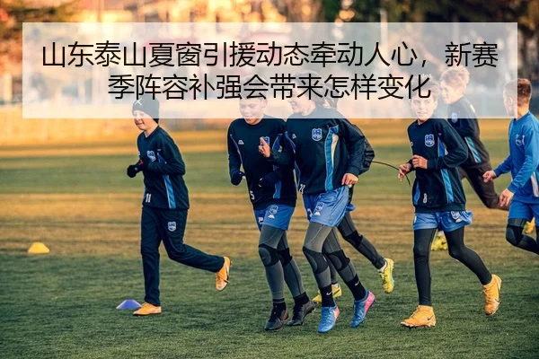 山东泰山夏窗引援动态牵动人心，新赛季阵容补强会带来怎样变化